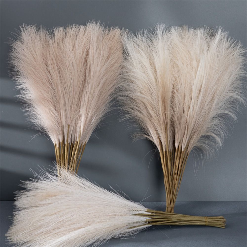 10PCS/Set Home Decor Fluffy Pa - Pampas Grass Decor 评论和价格