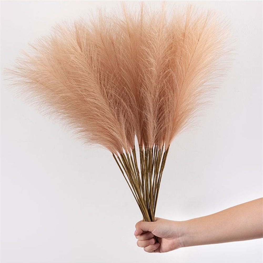 10PCS/Set Home Decor Fluffy Pa - Pampas Grass Decor 评论和价格
