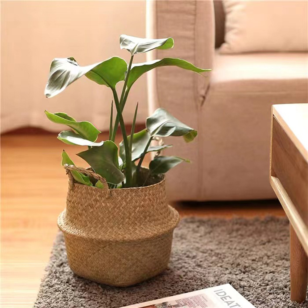 Plant Basket with Handles Wick - Rattan Plant Basket 评论和价格