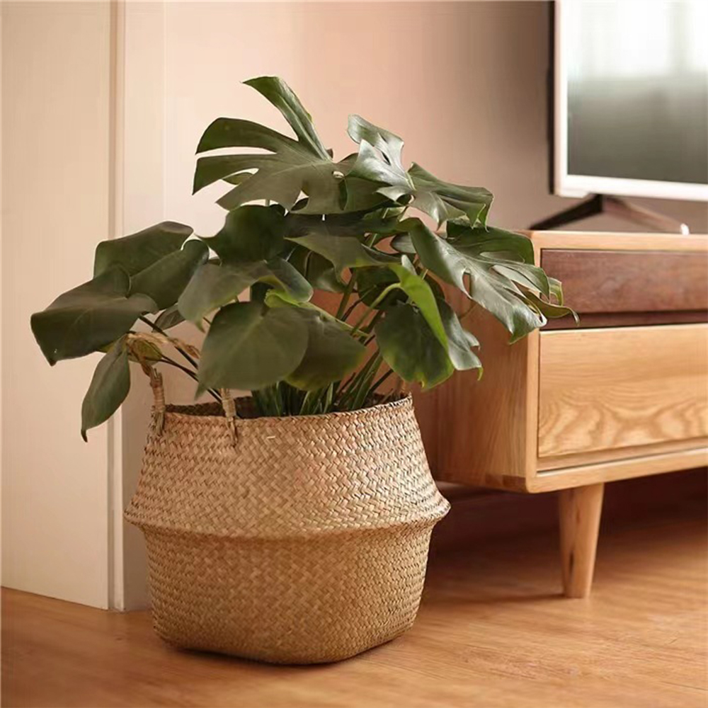 Plant Basket with Handles Wick - Rattan Plant Basket 评论和价格