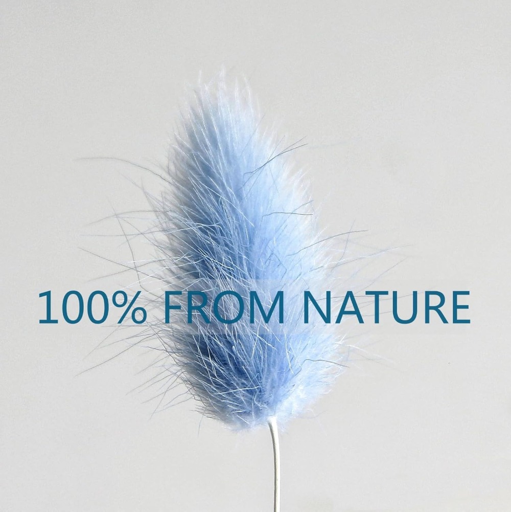 100PCS Blue Hare's-tail Grass  - Pampas Grass Decor 评论和价格
